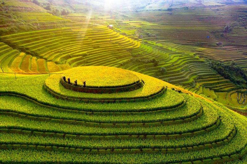 Hong Minh Guesthouse Mu Cang Chai Exterior photo