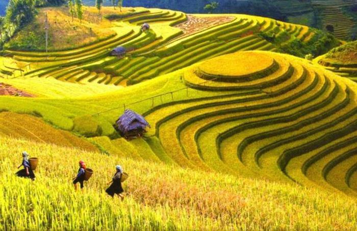 Hong Minh Guesthouse Mu Cang Chai Exterior photo